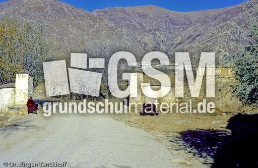 Tibet (167 von 257).jpg